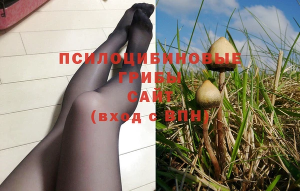 spice Лихославль